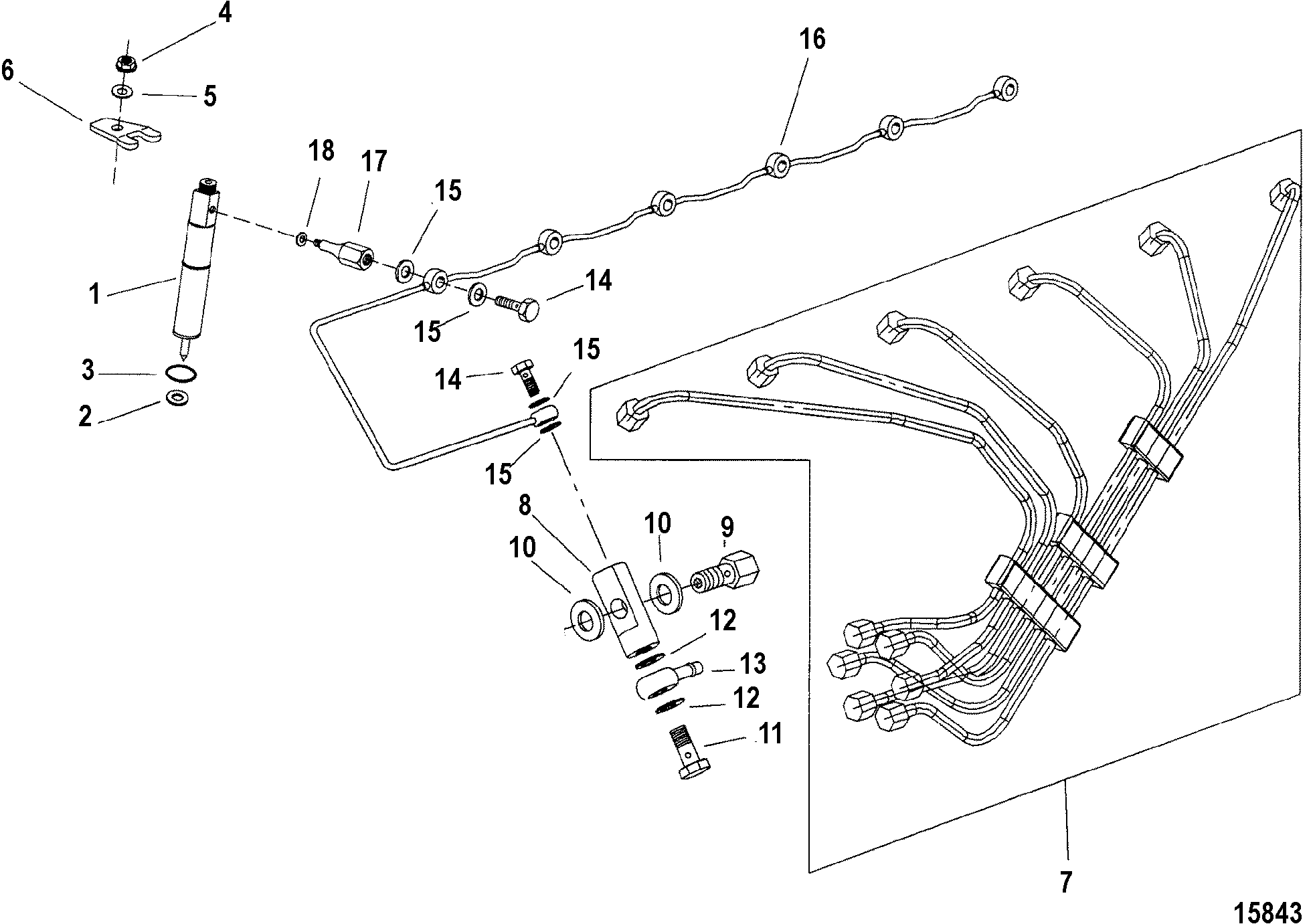 Fuel Lines And Nozzle