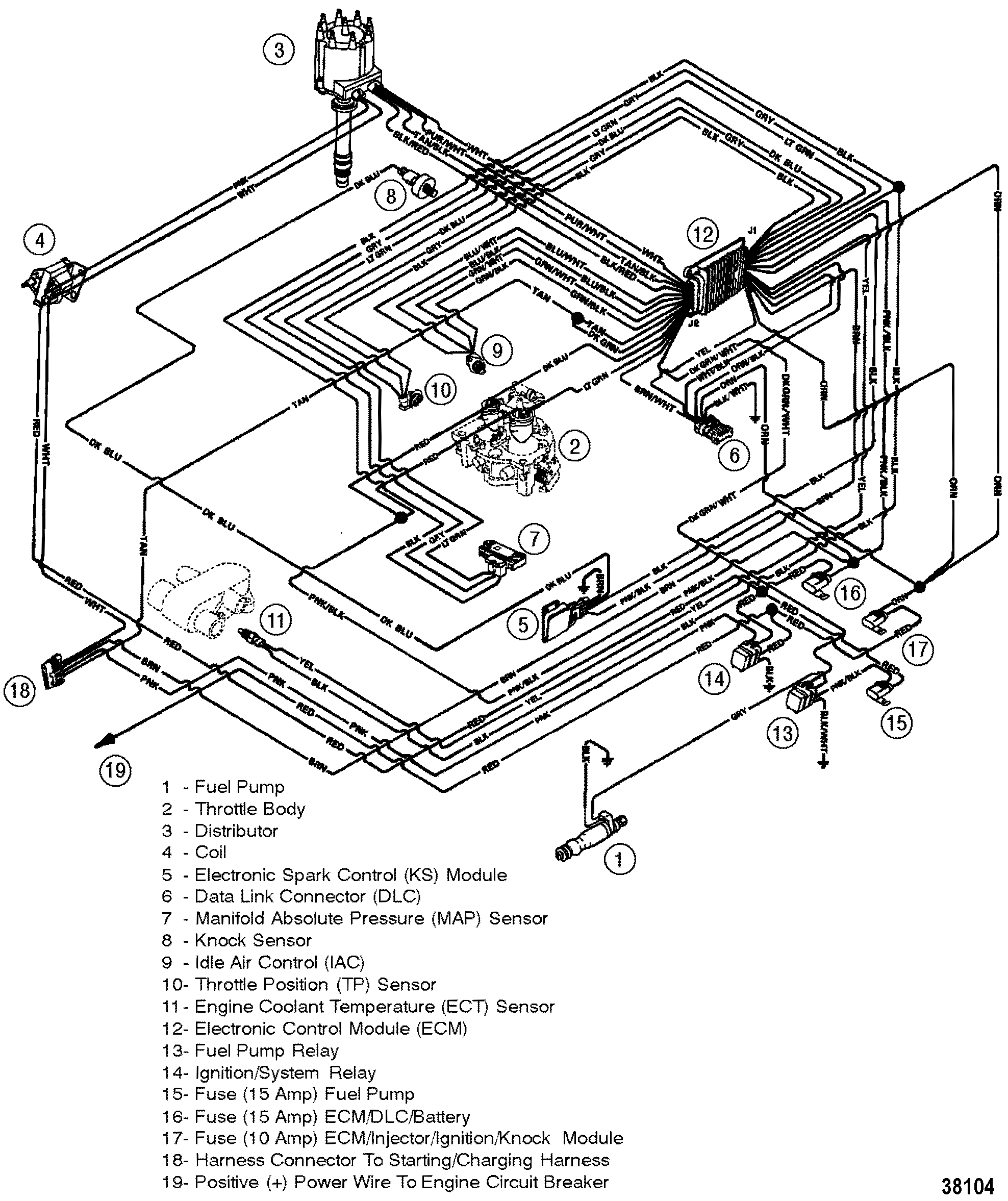 WIRING HARNESS(EFI)