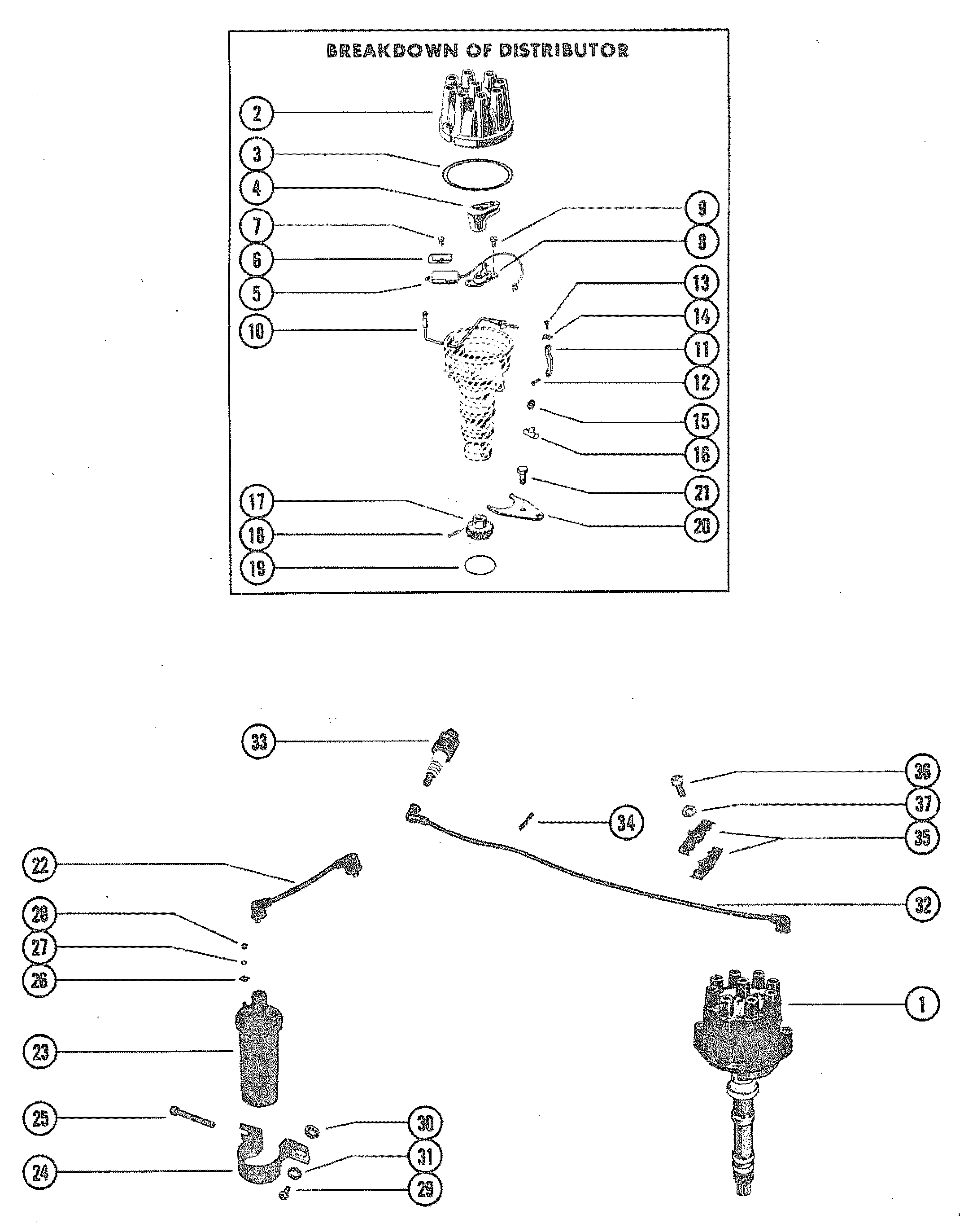 DISTRIBUTOR ASSEMBLY (STANDARD IGNITION)