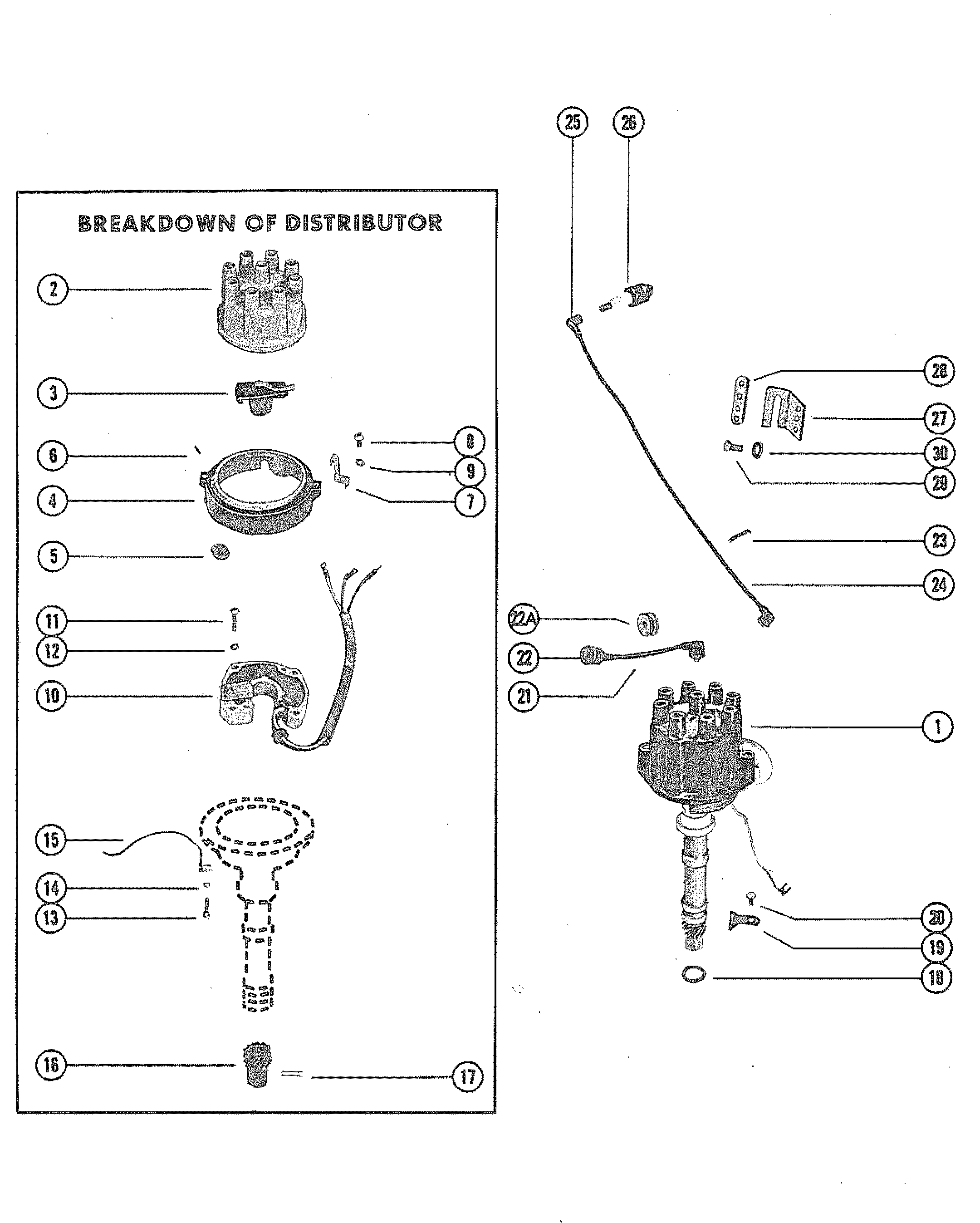 DISTRIBUTOR ASSEMBLY (THUNDERBOLT IGNITION)