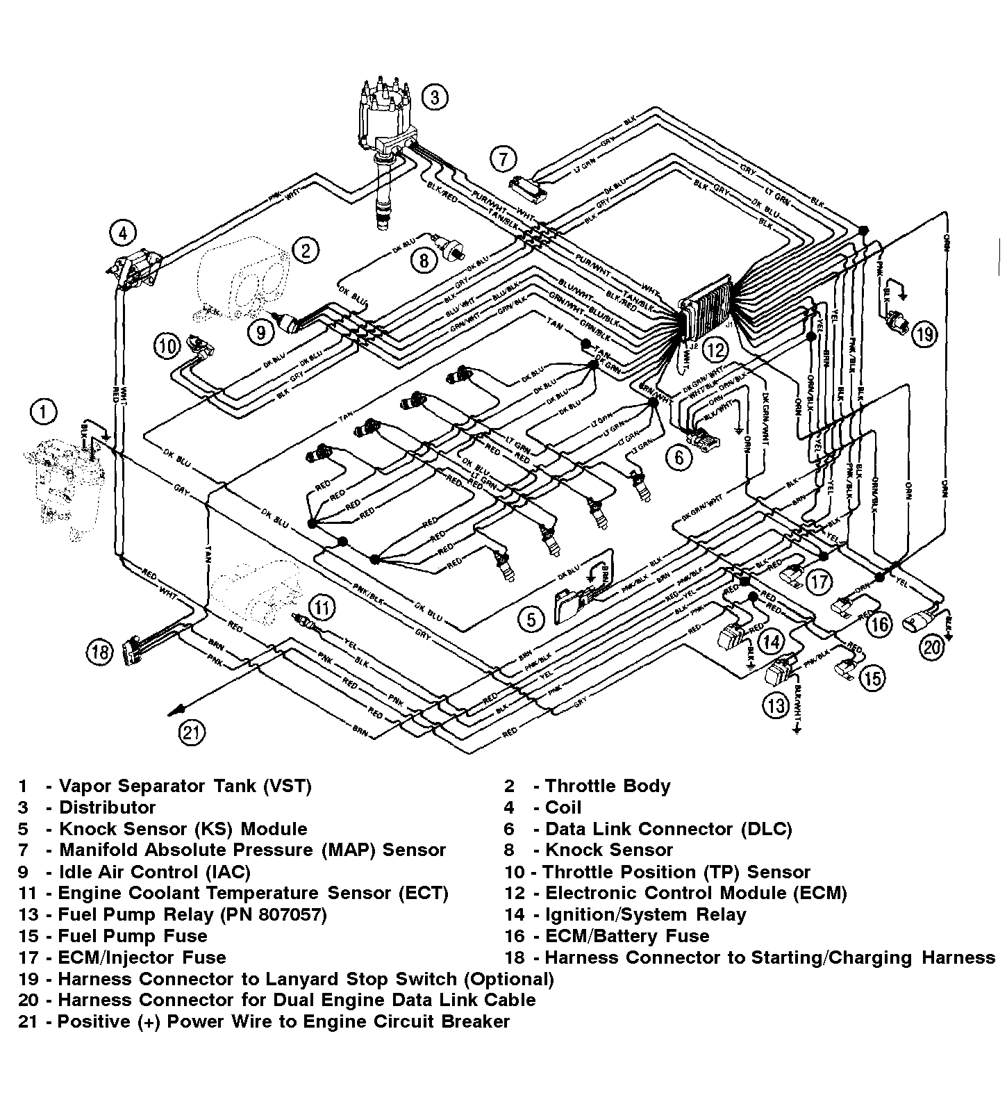 WIRING HARNESS (EFI)