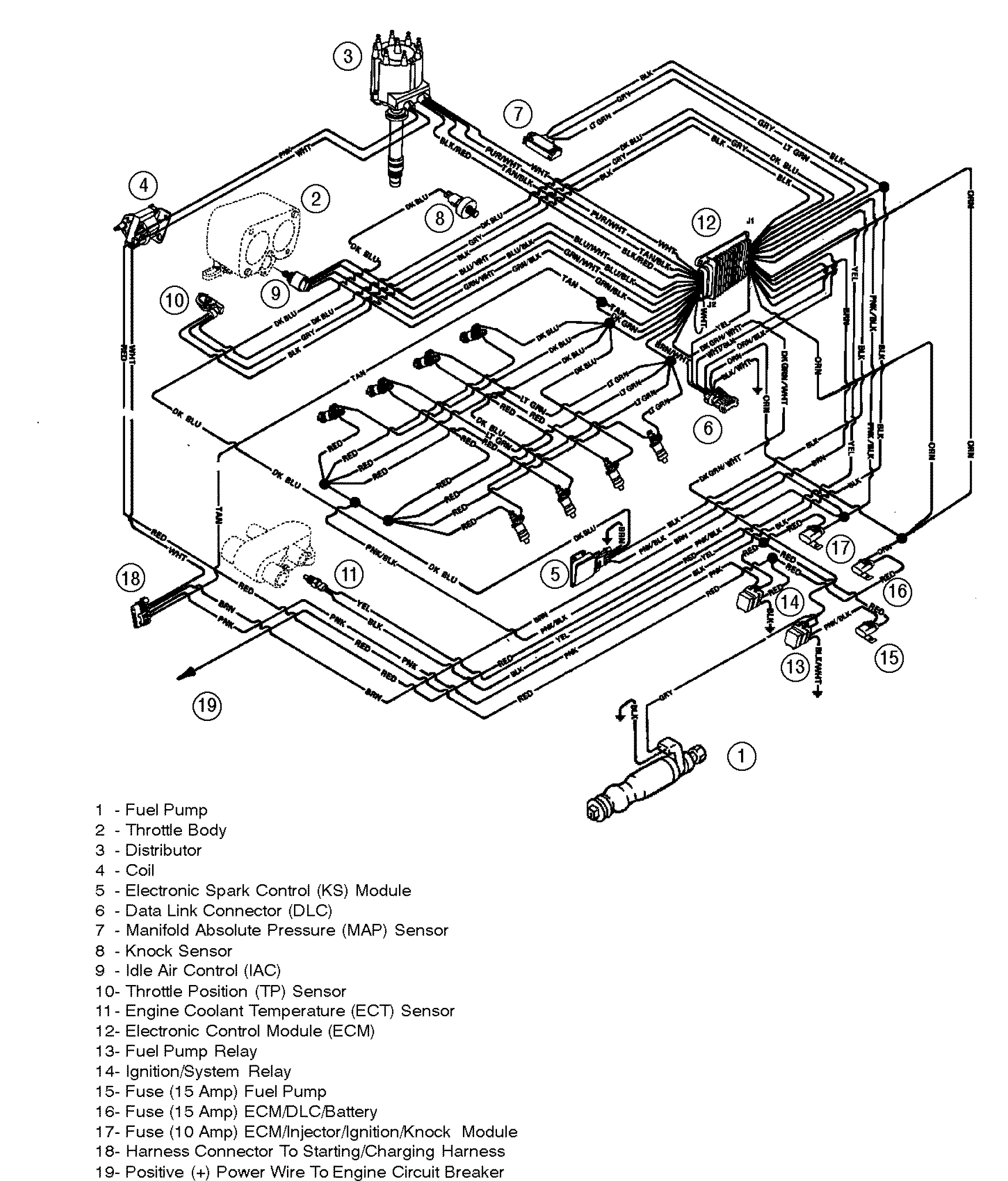 WIRING HARNESS (EFI)
