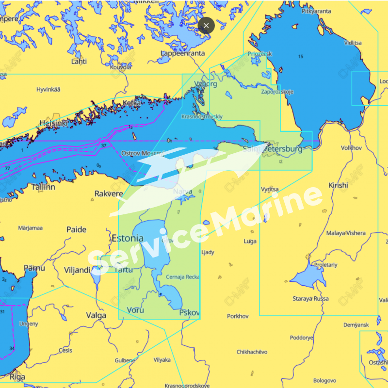 Навигационная карта C-MAP RS-Y607 Чудское озеро и Финский залив восток		